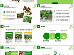 2018年“互聯(lián)網(wǎng)+農(nóng)副產(chǎn)品”市場(chǎng)推廣企業(yè)營(yíng)銷策劃案模板與素材指南
